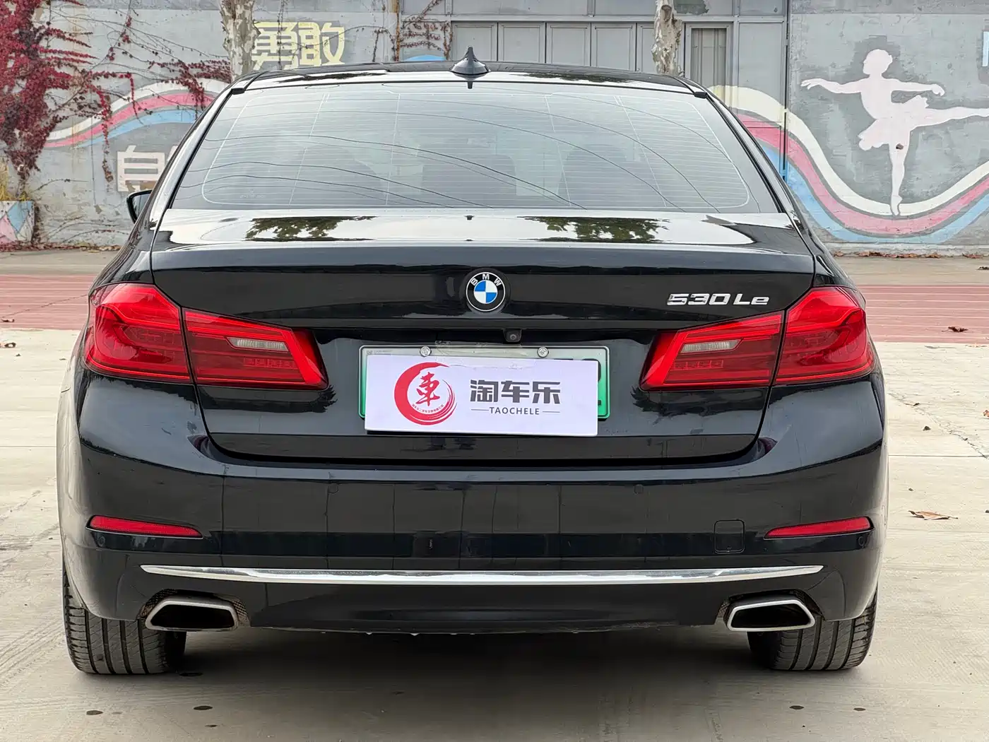 BMW 5 Series New Energy 2020 530Le Range Upgrade Luxury Package фото 21