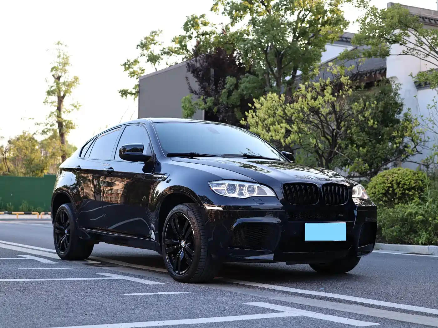 BMW X6 M 2010 X6 M фото 2