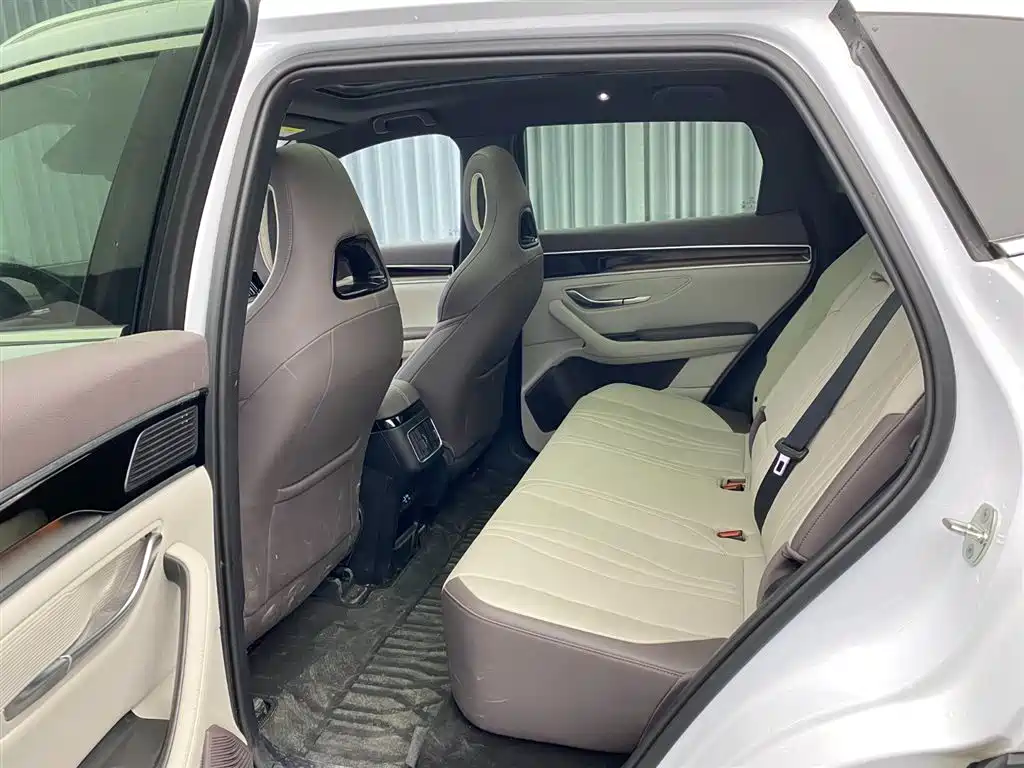 BYD SONGJIANG NEW ENERGY