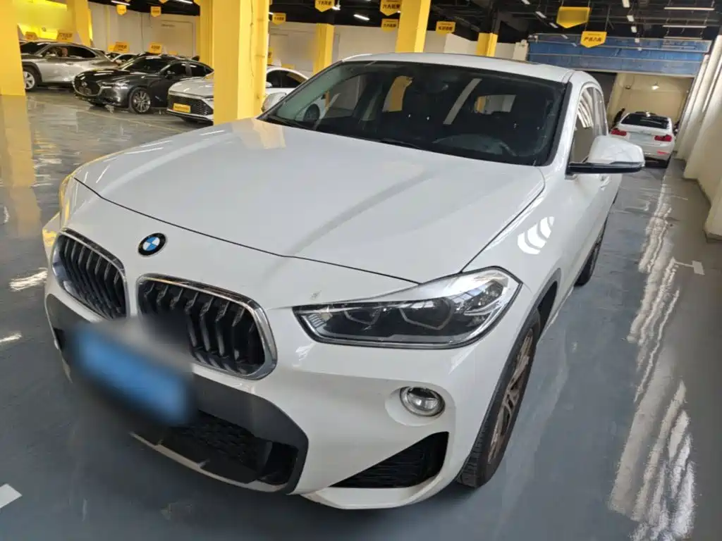 BMW X2 (Import) 2019 2019 sDrive25i Leading M Off-Road Package China VI