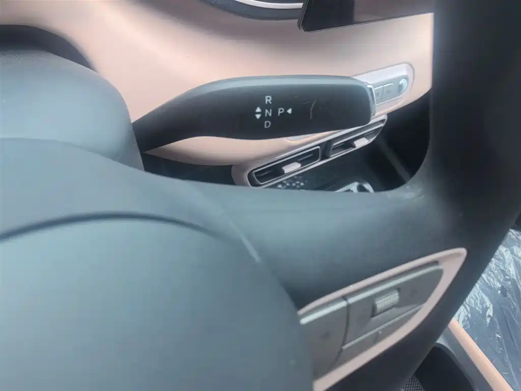 BYD Seagull 2025 Smart Drive Edition 305km Vitality Version фото 14