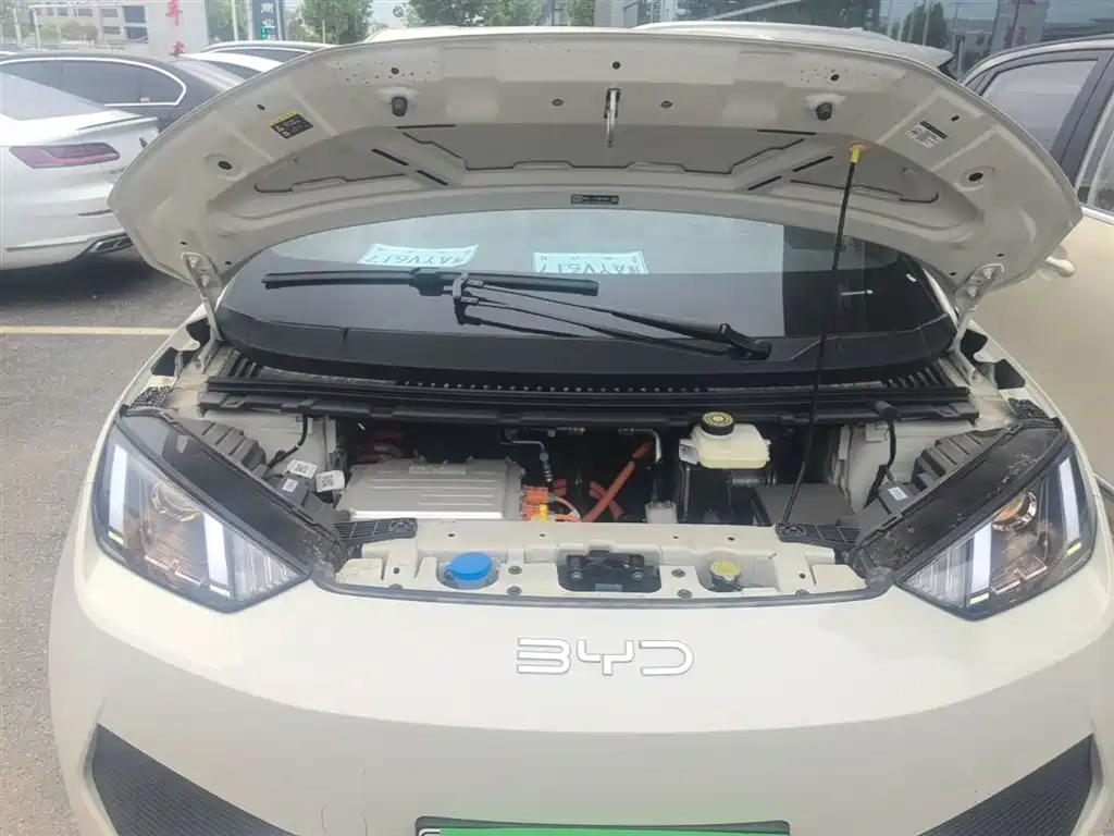 BYD Seagull 2025 Smart Drive Edition 305km Vitality Version фото 20