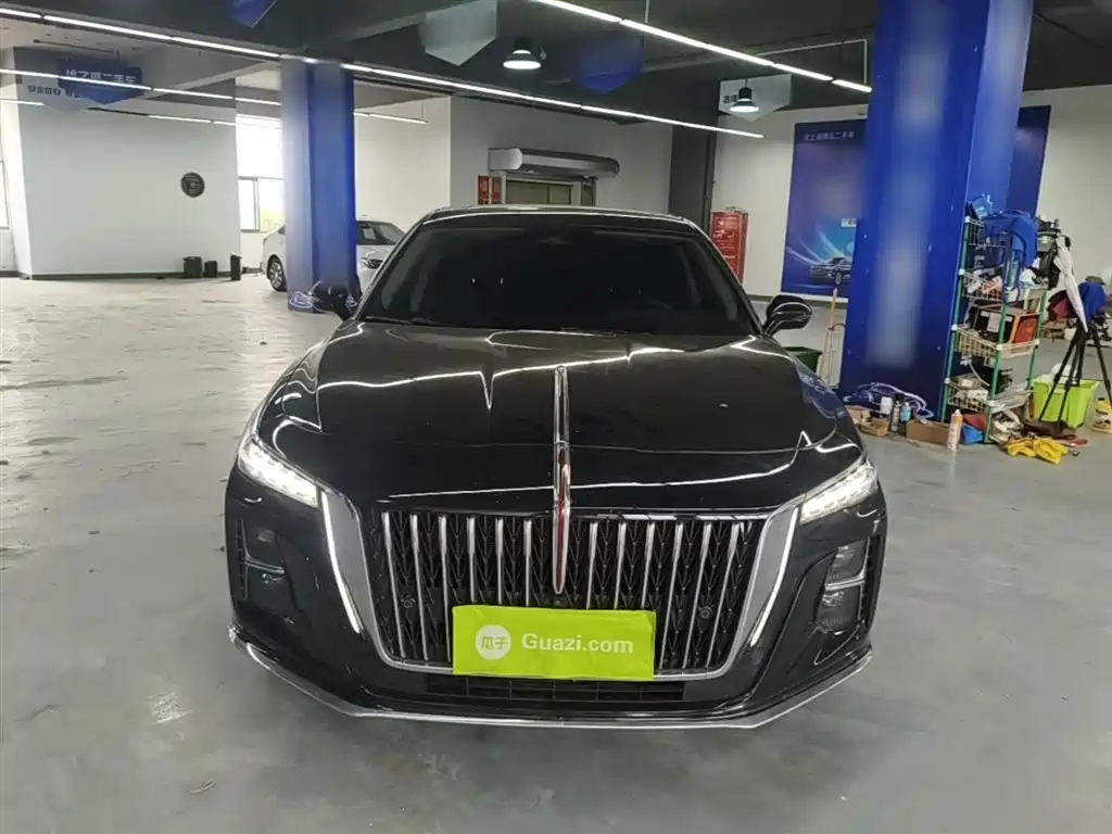 Hongqi H5 2024 2.0T Automatic Smart Connect Flag Smooth Edition фото 3