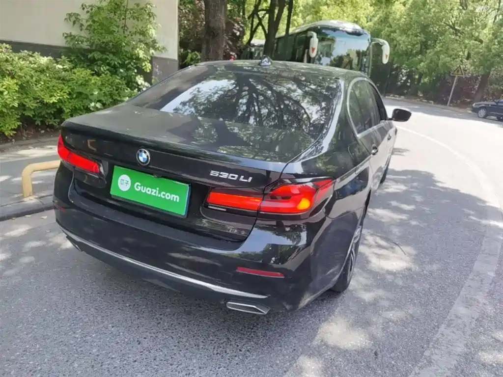 BMW 5 Series 2021 530Li Leading Luxury Package фото 7