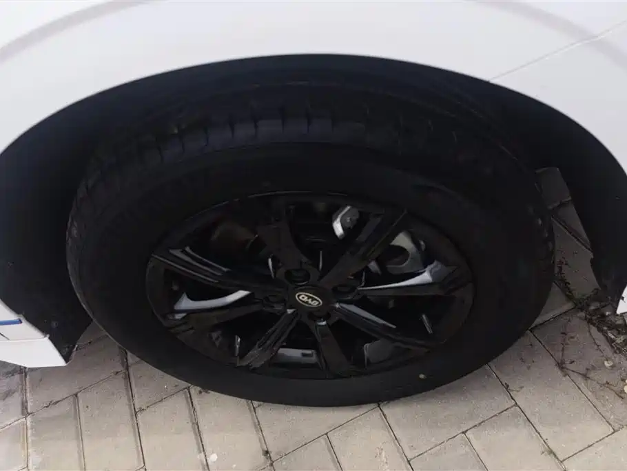 BYD e2 2021 Luxury Edition фото 6
