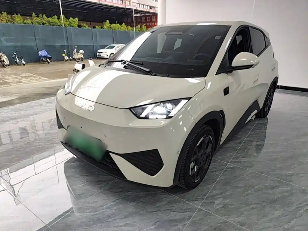 BYD Seagull 2026 2025 Smart Drive Edition 305km Freedom Version