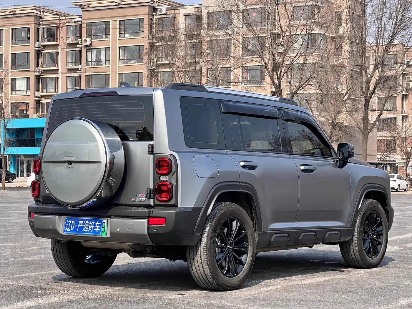 Haval Meng Long NEV 2024 Hi4 145 Pro фото 4