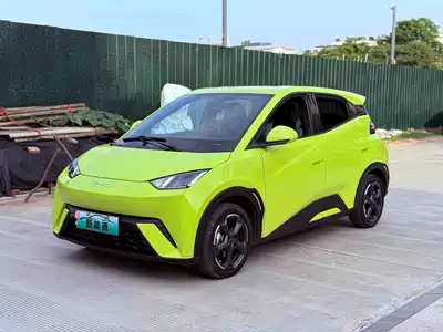 BYD Seagull