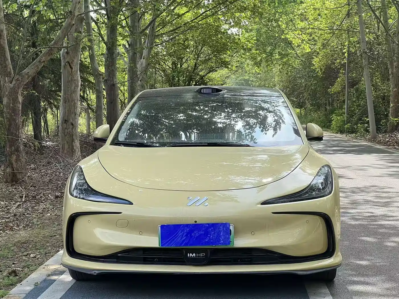 ZHIJI AUTOMOBILE ZHIJI L6