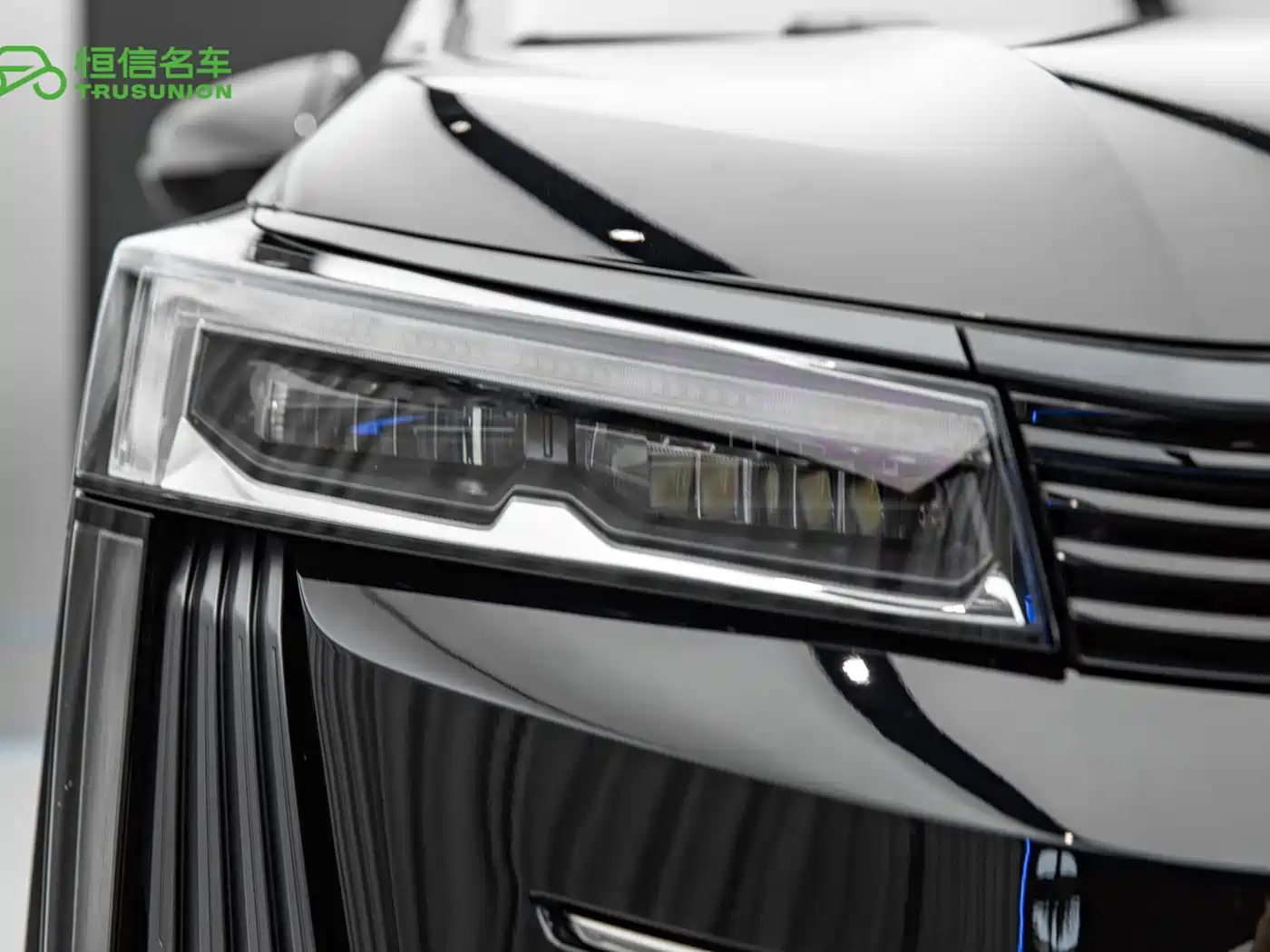 GAC Trumpchi Trumpchi E9 2024 E9 Premium Edition фото 10