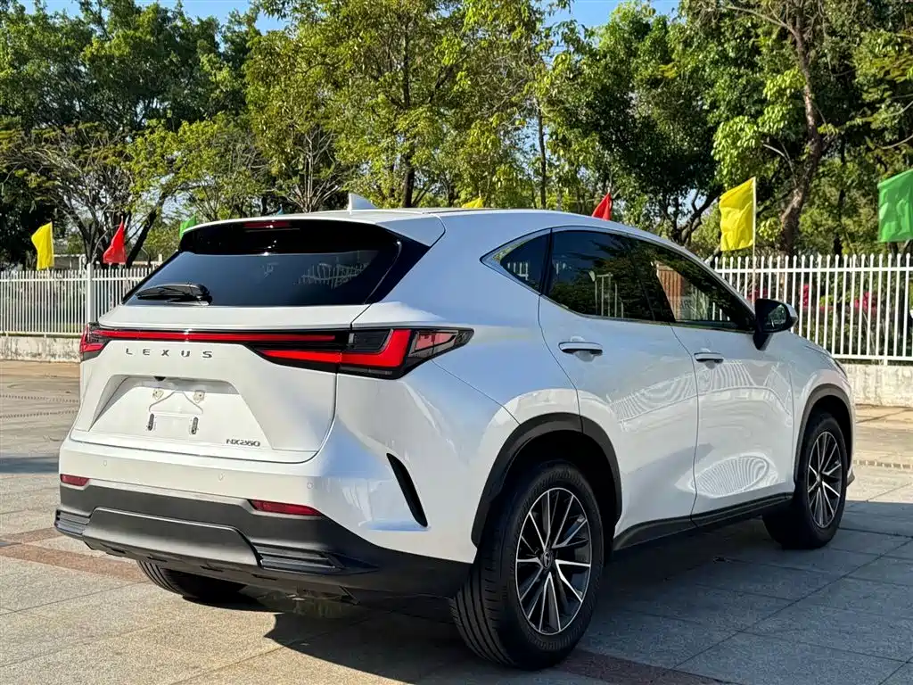 LEXUS NX
