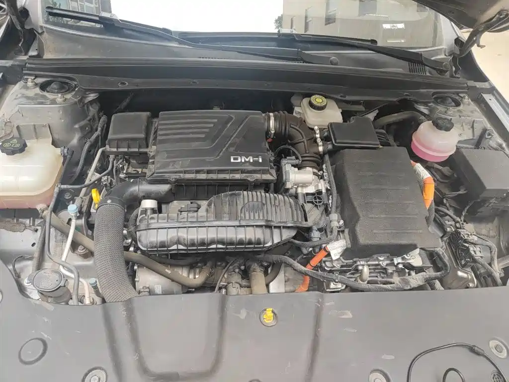 BYD Qin PLUS 2024 Glory Edition DM-i 55KM Leading фото 11