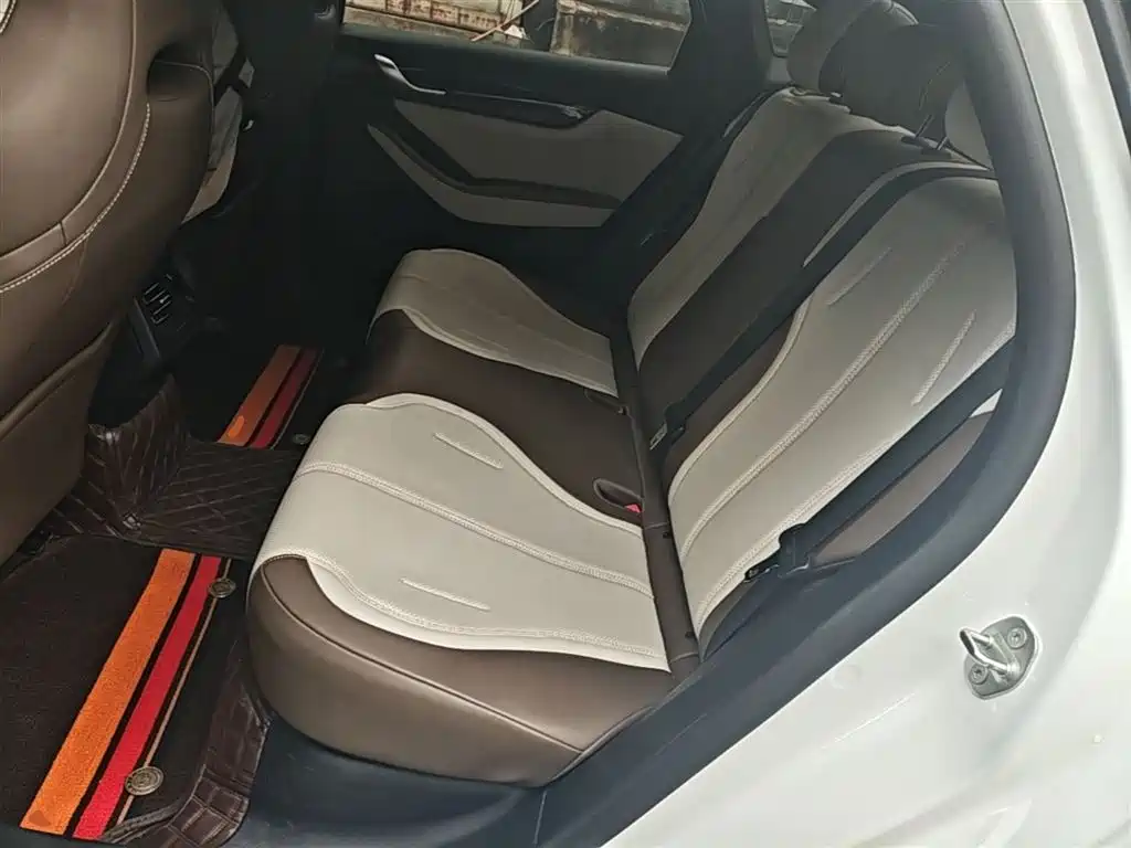 BYD Qin PLUS 2024 Glory Edition DM-i 55KM Leading фото 17