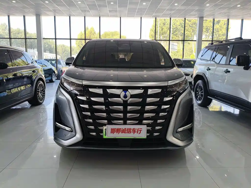 Denza D9 2023 2022 DM-i 970 All-Wheel Drive Honor Edition