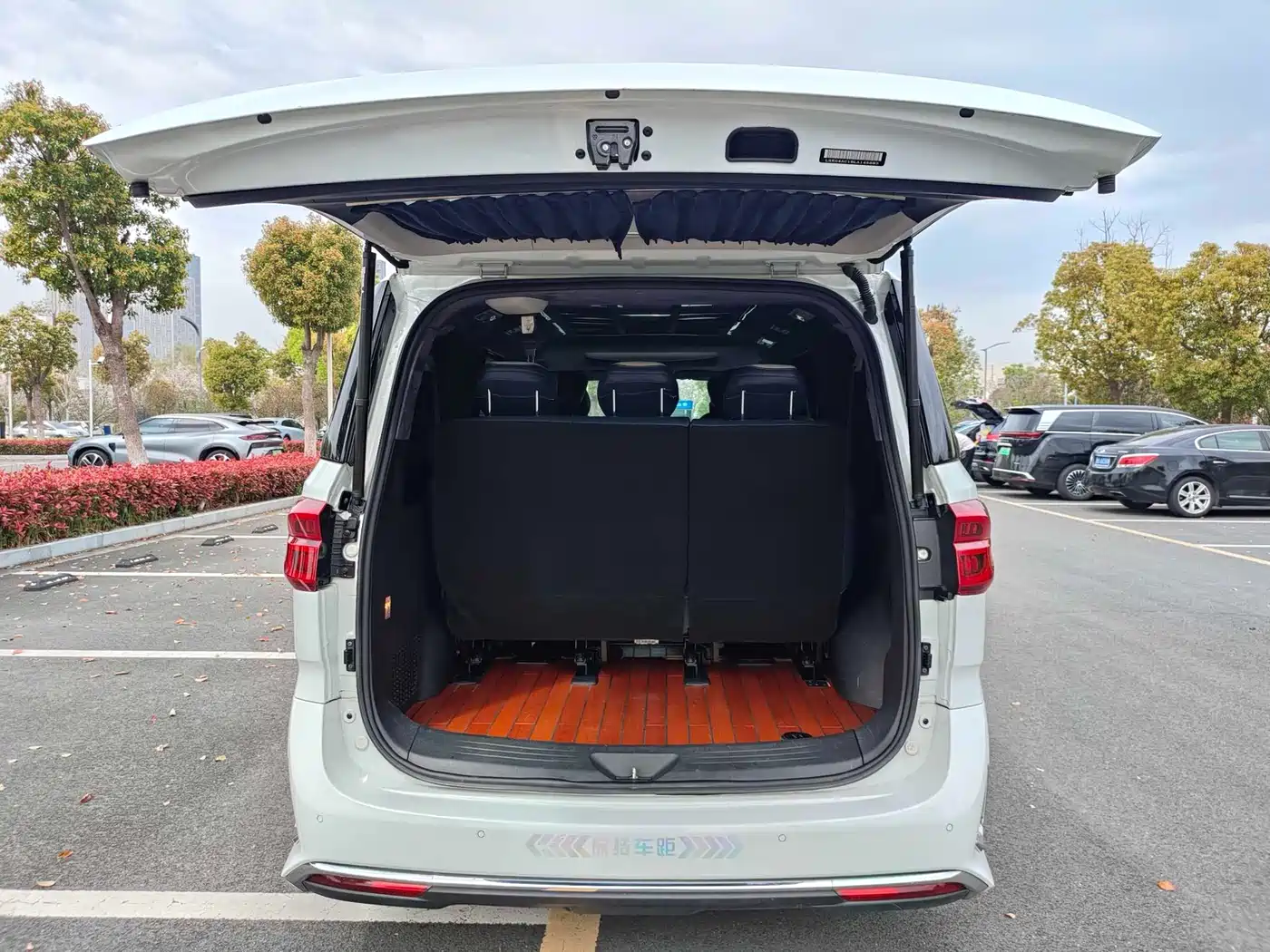 SAIC MAXUS CHASE G20