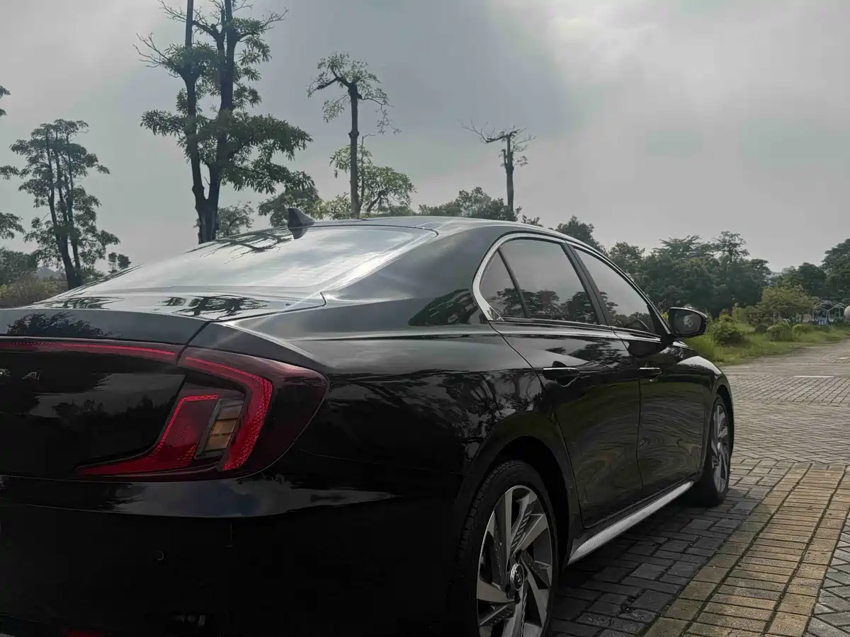 Photo 20 - Hyundai Mistra