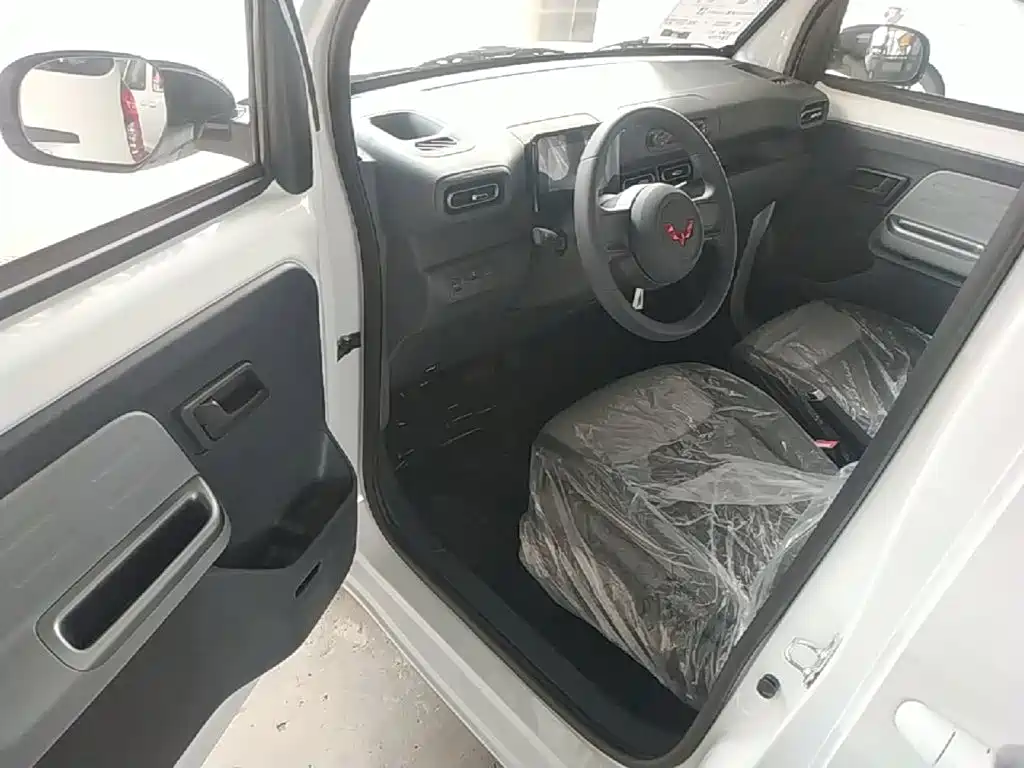 Wuling Motors Wuling Zhiguang NEV 2026 2025 Model 305km Base Version