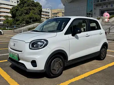 Leapmotor T03