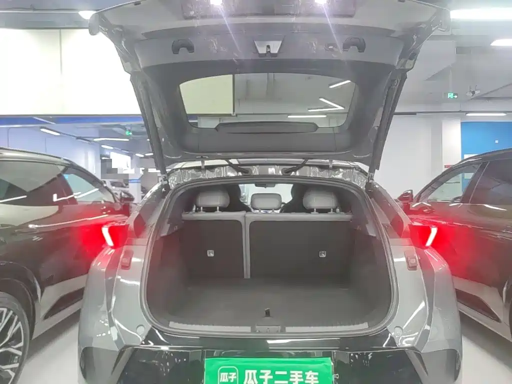 Lynk & Co Z20 2024 2025 530km RWD Max