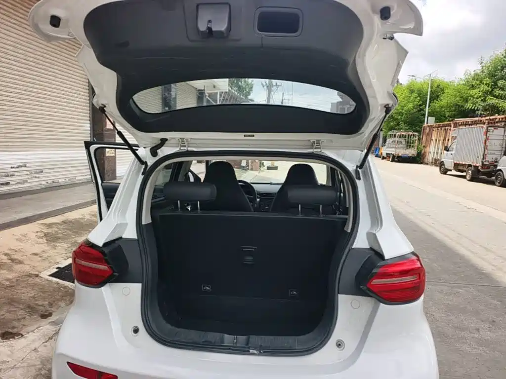 Leapmotor T03 2020 2020 400 Luxury Edition