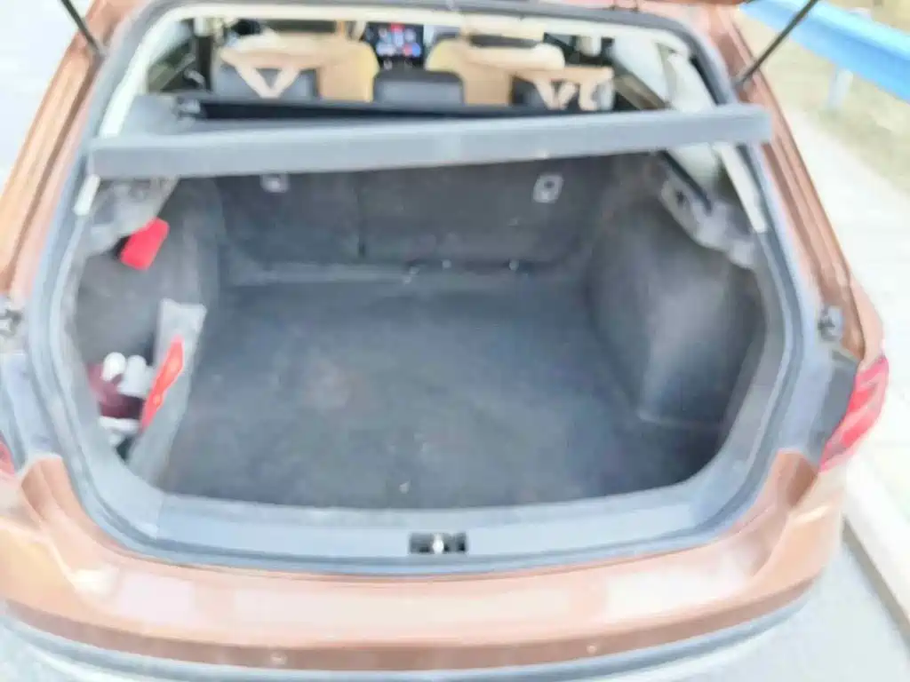 Фото 5 - Volkswagen C-TREK
