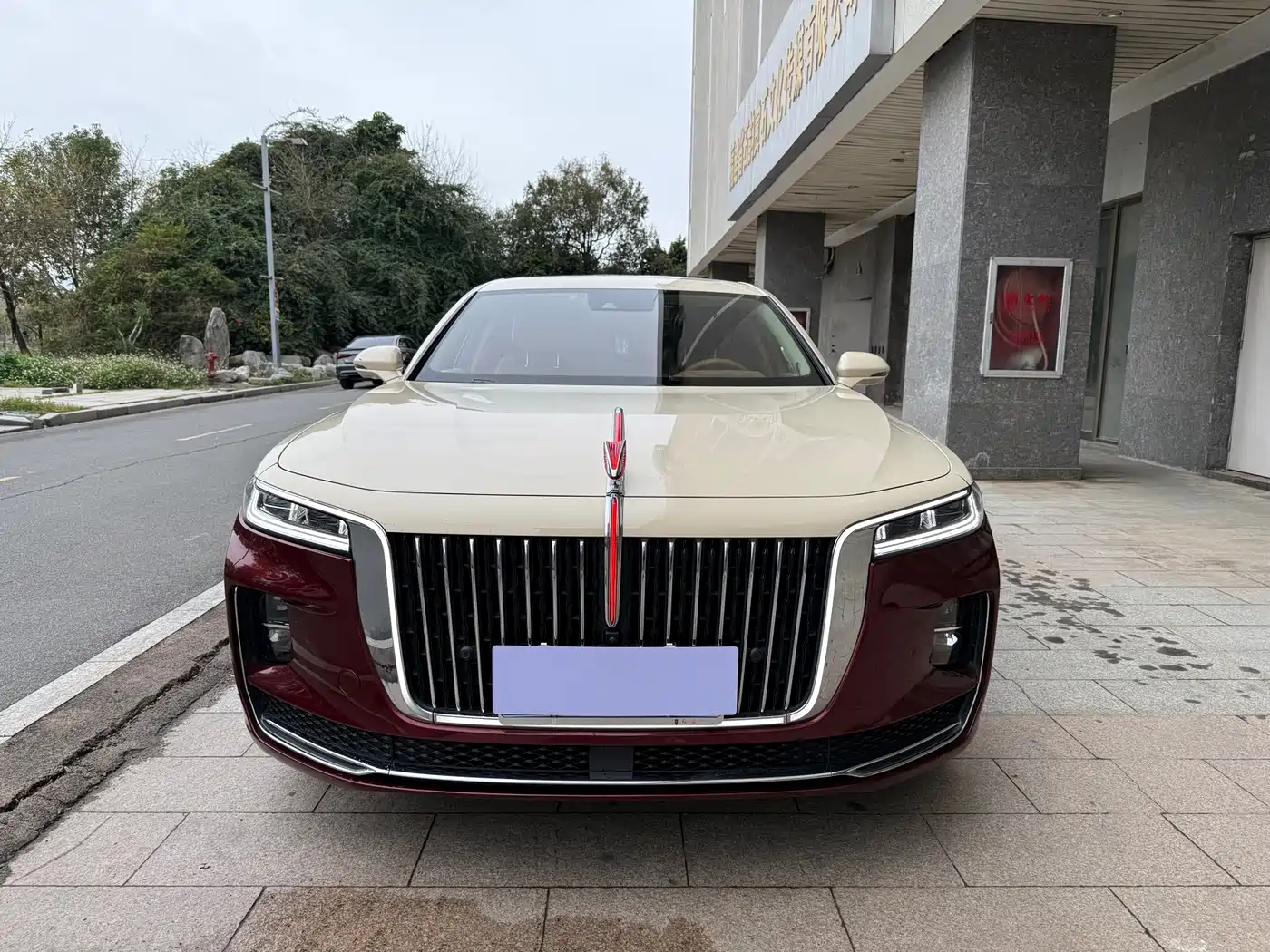 Hongqi HONGQI H9