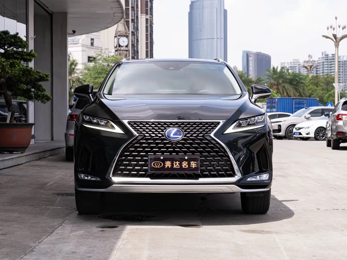 LEXUS RX