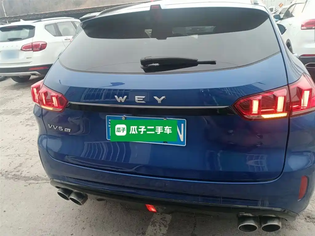 WEY VV5 2017 2017 2.0T Super Luxury Model