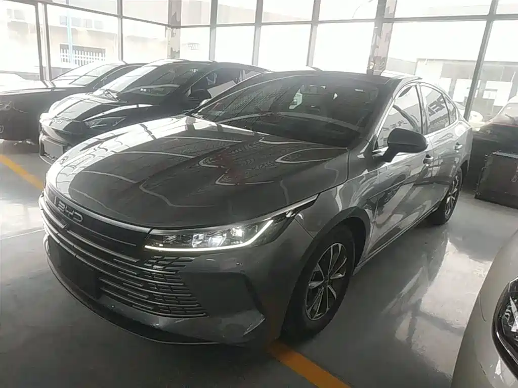 BYD Destroyer 05 2024 Glory Edition DM-i 55KM Luxury фото 2