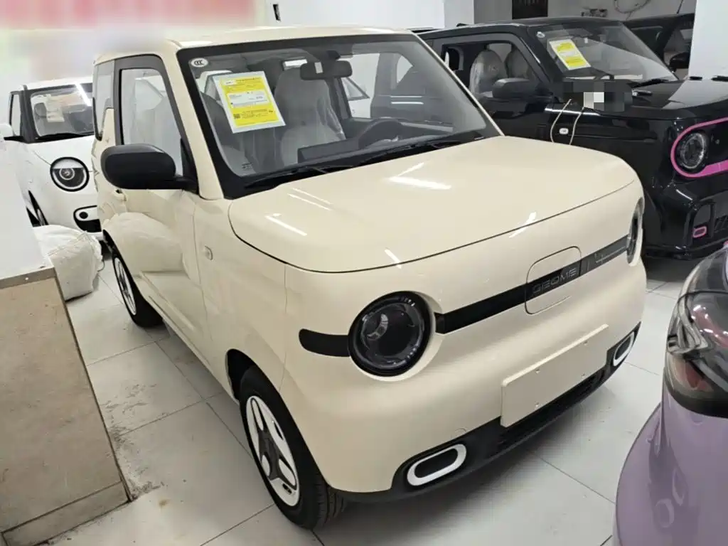 Geely Galaxy Panda 2026 2025 Panda mini 210km Vitality Bear
