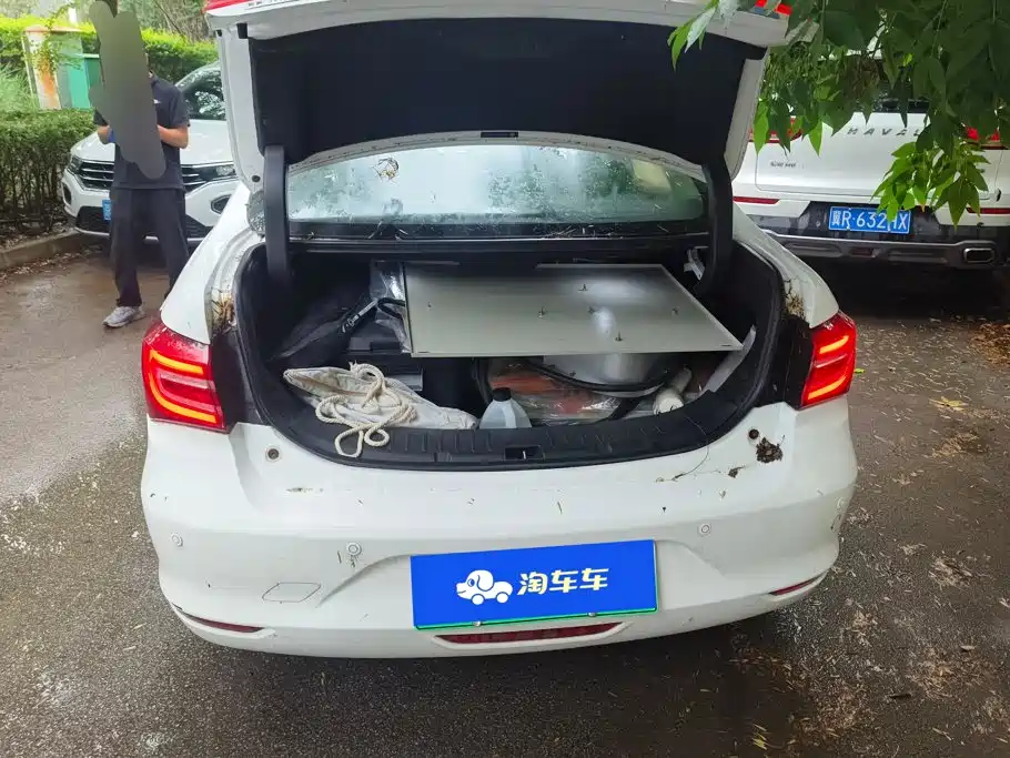 BYD Qin New Energy 2017 2017 Qin EV300 Flagship