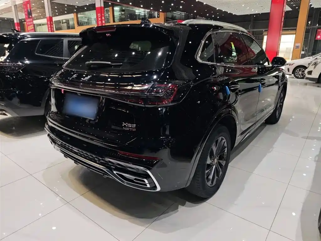 Hongqi HS5 2023 2.0T Flag Enjoy Pro Edition фото 11