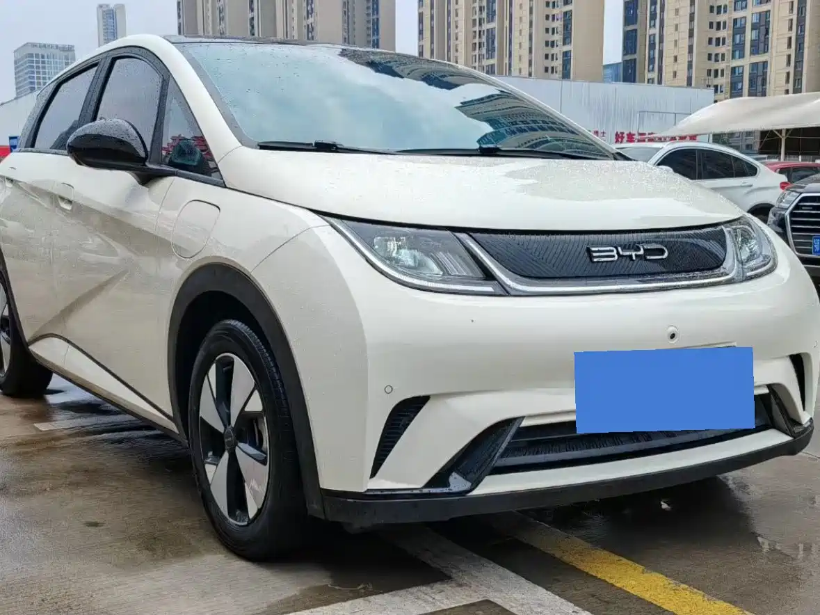BYD Dolphin 2023 420km Fashion Edition фото 3