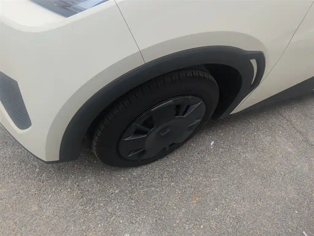 BYD Seagull 2025 Smart Drive Edition 305km Vitality Version фото 23