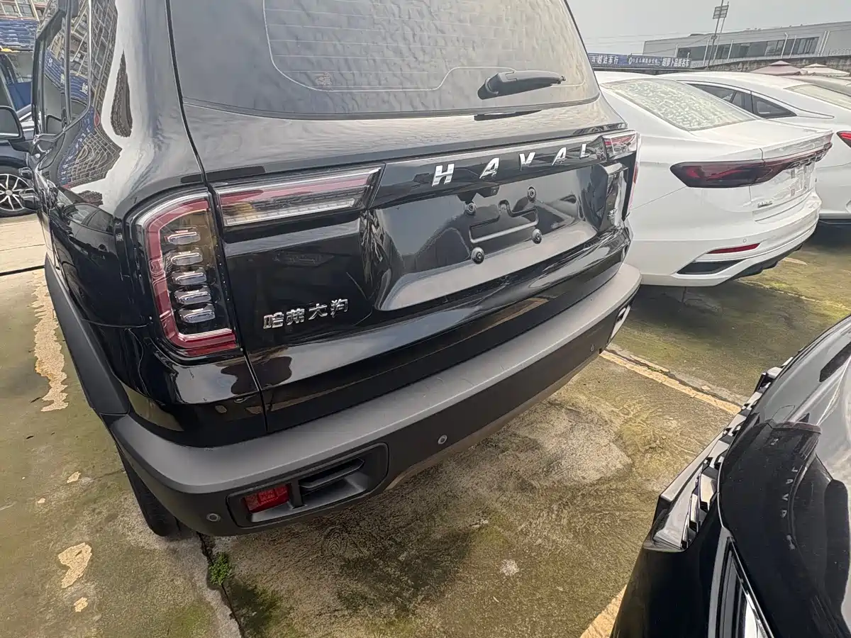 HAVAL BIG DOG