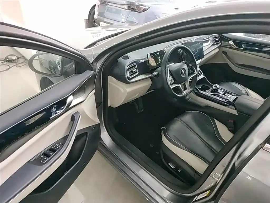BYD Qin PLUS 2023 Champion Edition DM-i 120KM Excellence фото 16