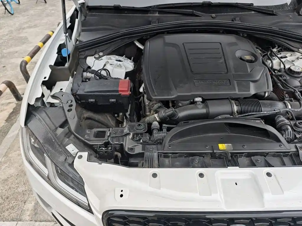 Jaguar F-PACE 2024 2024 P250 R-Dynamic SE