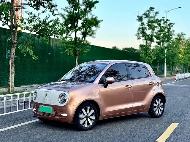  Ora Ora Black Cat 2021 351km Luxury Model