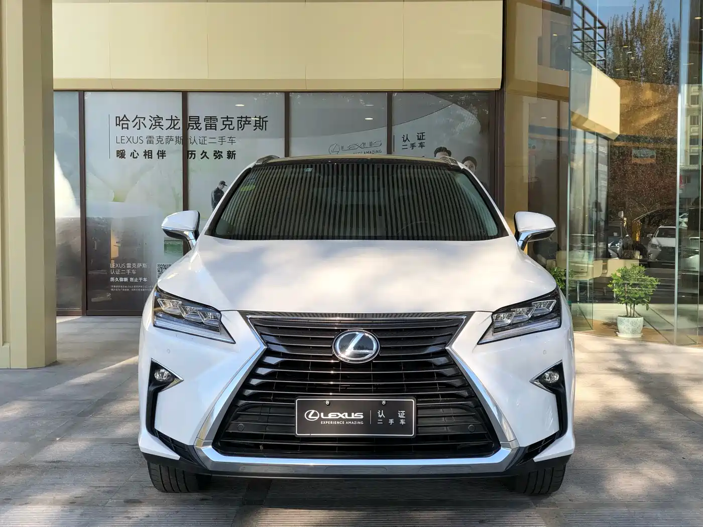 LEXUS RX