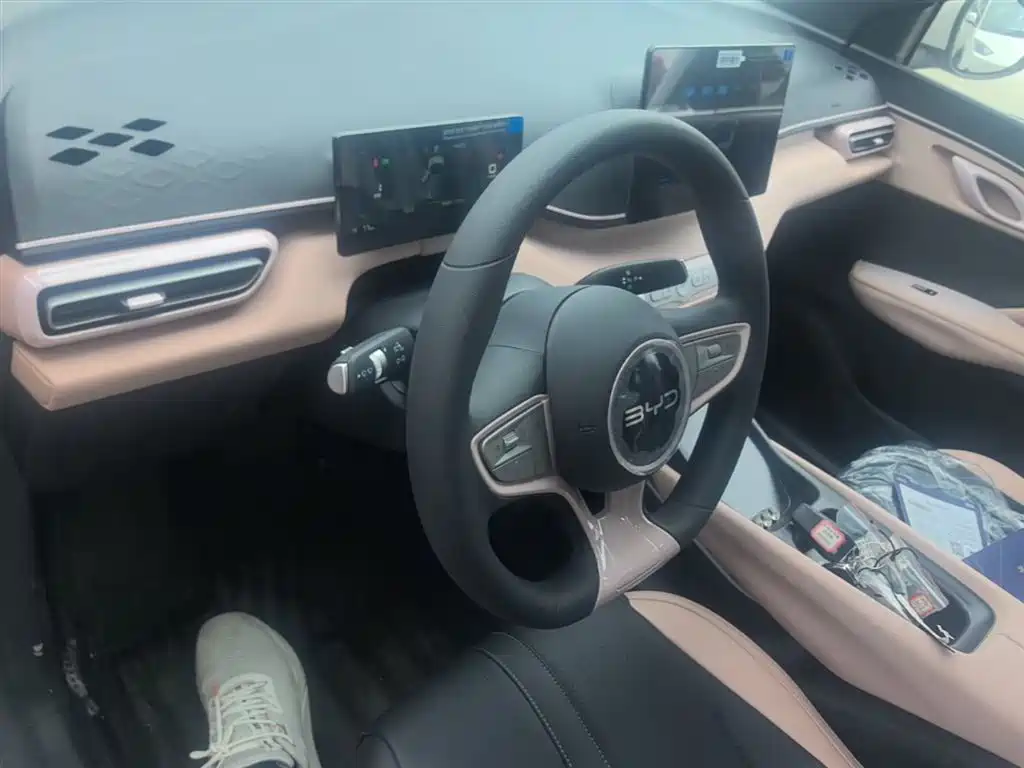 BYD Seagull 2025 Smart Drive Edition 305km Vitality Version фото 10