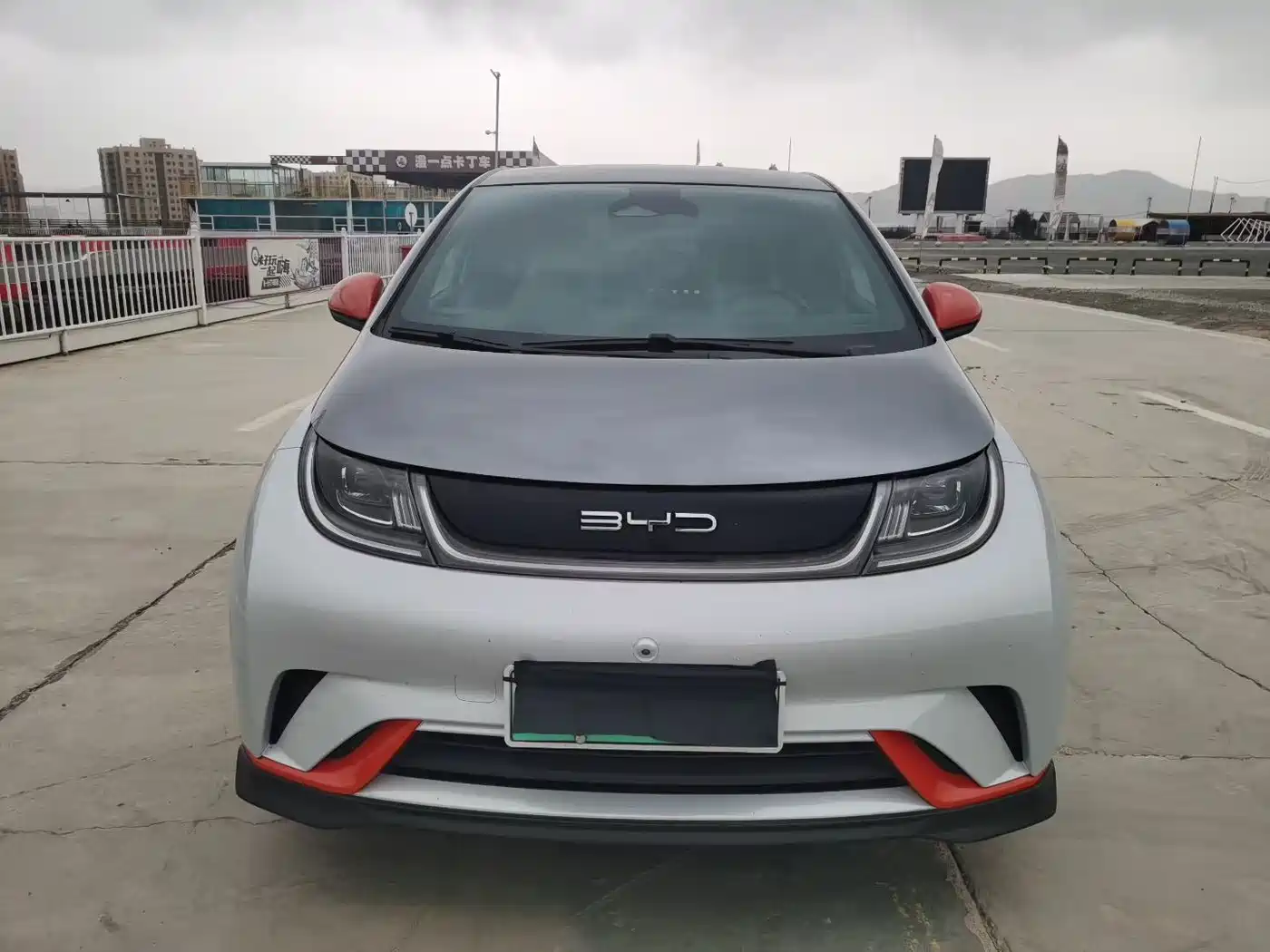 BYD Dolphin 2021 401km Knight Edition фото 2
