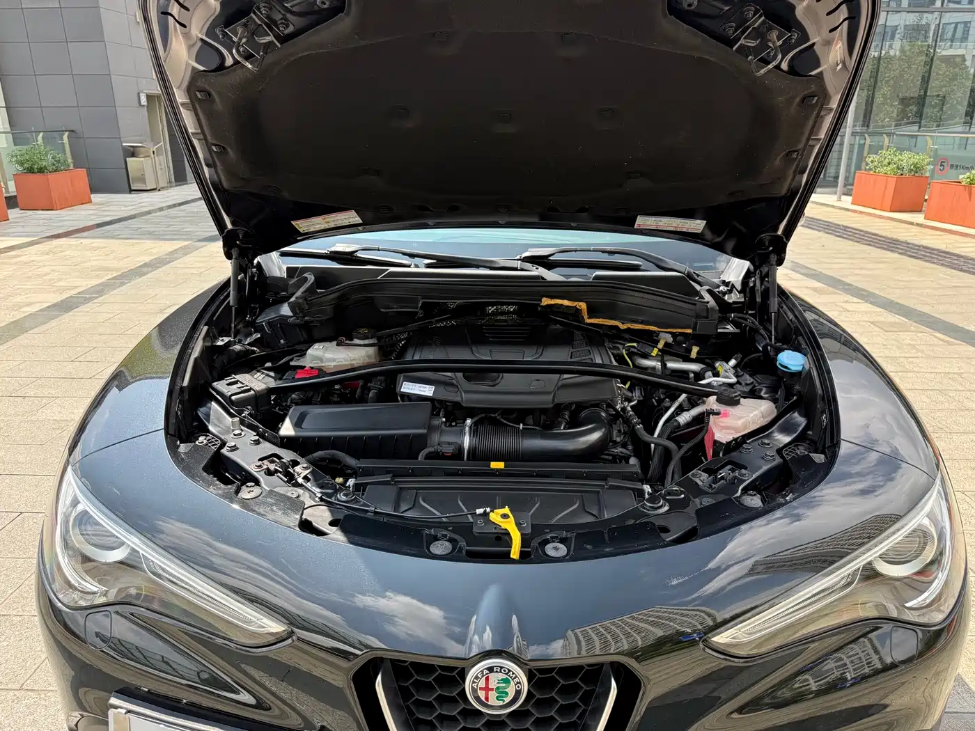 Alfa Romeo Stelvio 2019 2017 2.0T 200HP Luxury Edition
