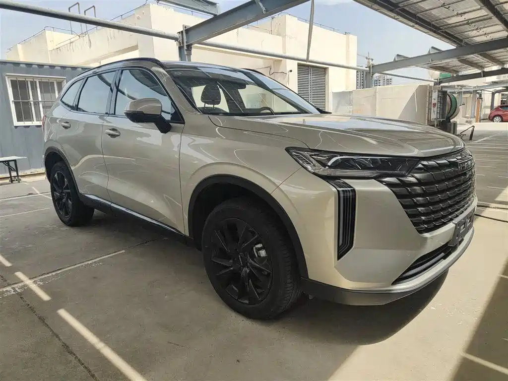 Haval H6 2024 1.5T 2WD Ultra фото 9