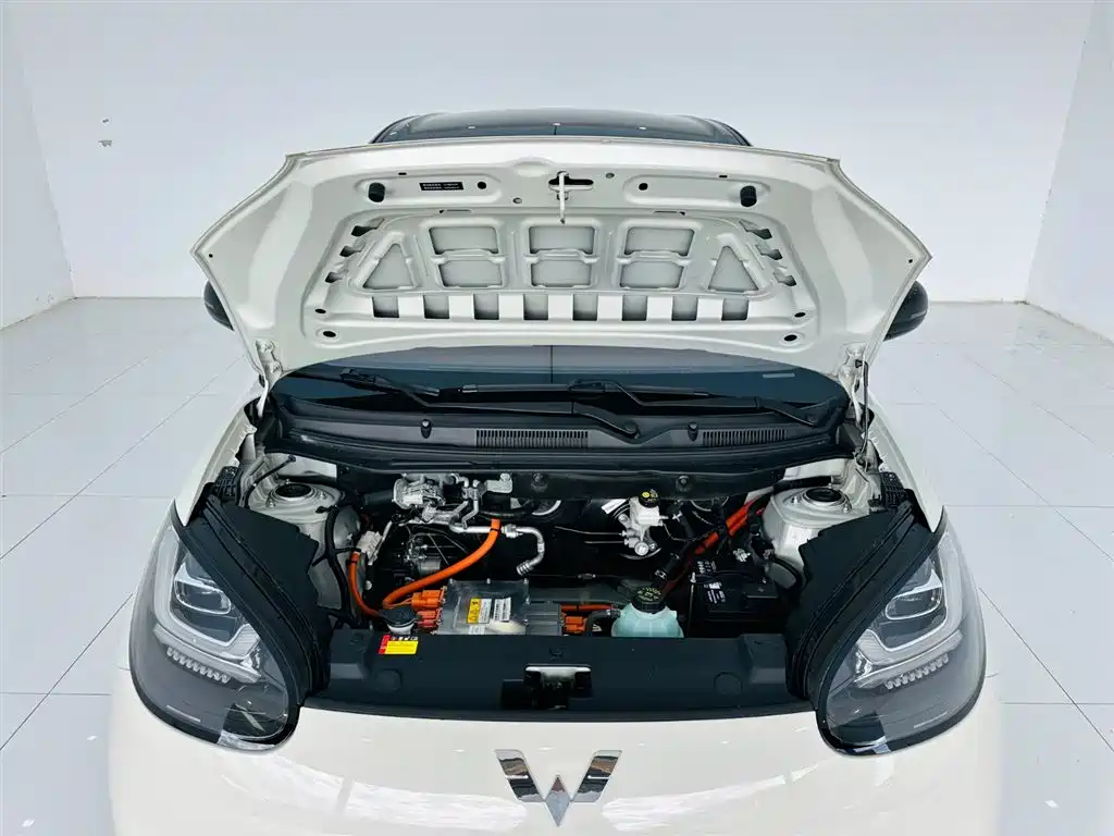  Wuling Motors Wuling Bingo 2023 Model 333km Joy+ Version 22