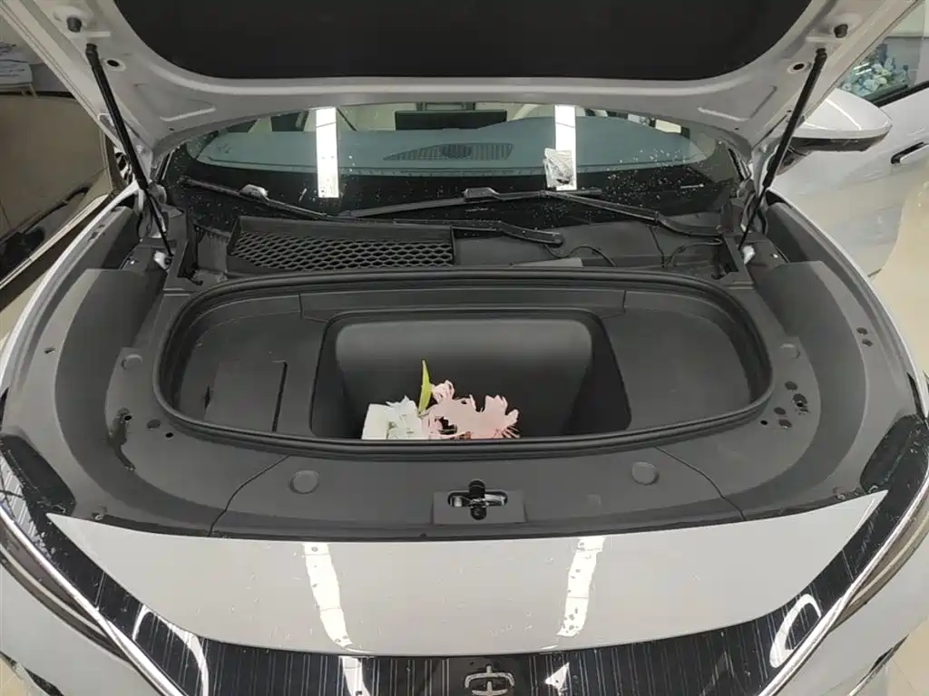 BYD Song L EV 2025 662km Excellence Smart Driving Model фото 20