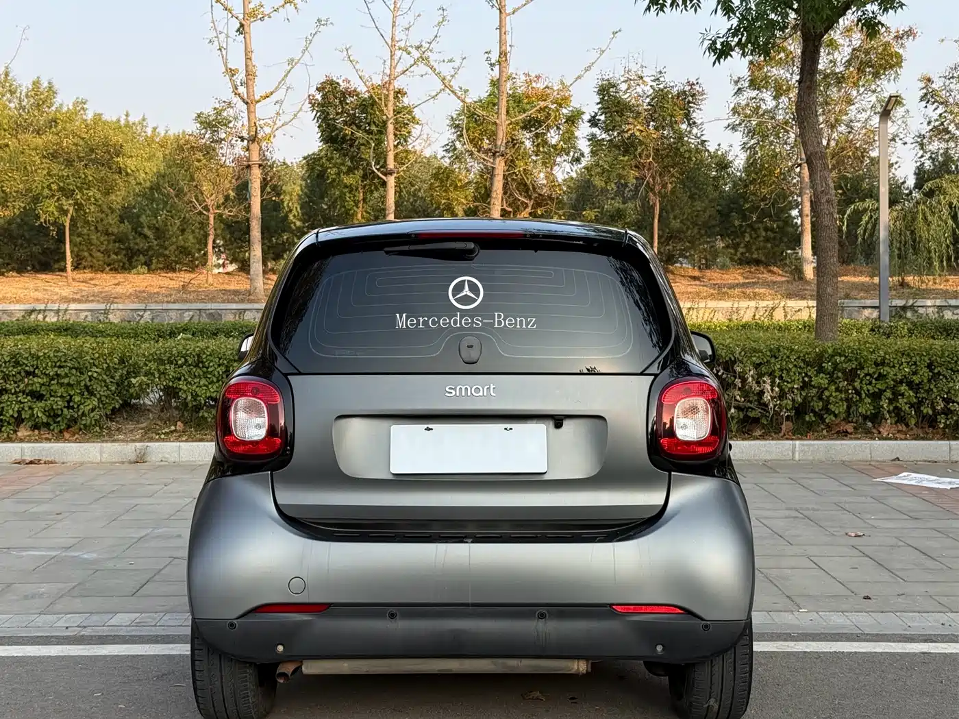 smart fortwo 2018 2018 1.0L 52kW Hardtop Passion Edition China V