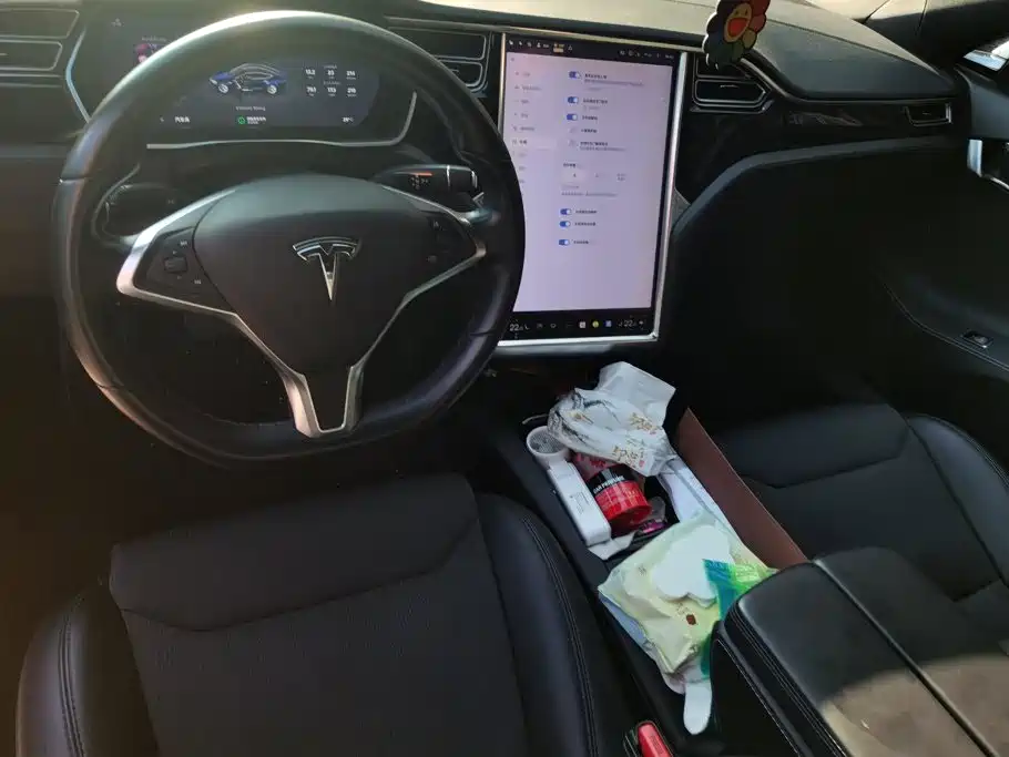 Фото 12 - Tesla Model S
