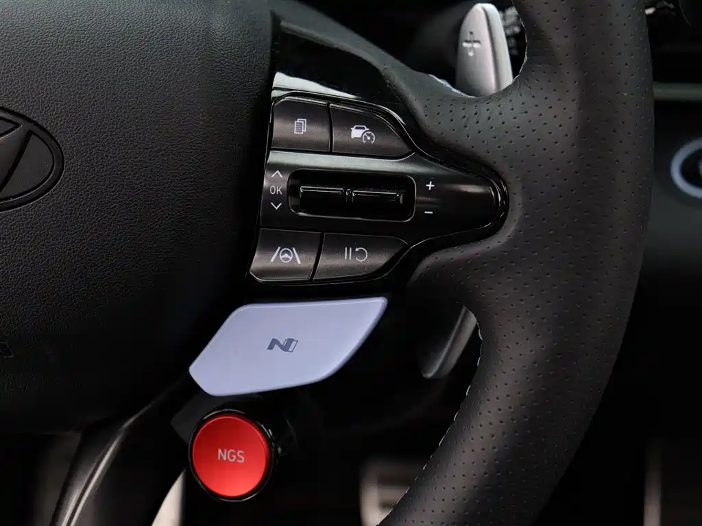 Hyundai Elantra N 2023 2.0T Sport Package Edition фото 16