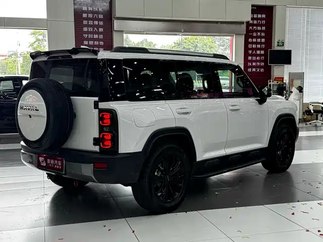 Haval Meng Long NEV 2024 Hi4 145 Pro — фото 4