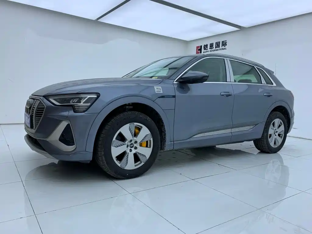 Audi e-tron 2026 2021 50 quattro Luxury